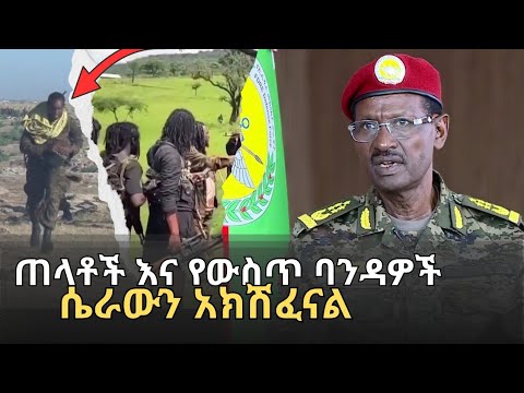 ታሪካዊ ጠላቶችን እና የውስጥ ባንዳዎችን ሴራ አክሽፈናል| የጦር ኃይሎች ጠቅላይ ኢታማዦር ሹም ፊልድ ማርሻል ብርሃኑ ጁላ