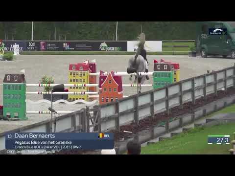 Pegasus Blue van het Grenske 140 CSI3*** Opglabbeek 8th place