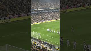 Fenerbahçe - Dinamo Kiev Maçı İrfancan Kahveci