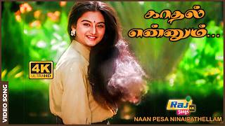     Naan Pesa Ninaipathellam  Anand Babu  Singamuthu  Raj 4k 