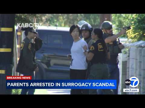 Arcadia couple at center of surrogacy scandal arrested on child abuse-related charges