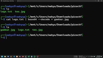 Pico CTF Indonesia - Flag In Flame