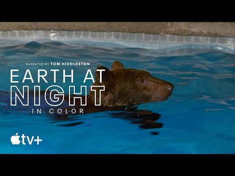 Earth At Night In Color — "Pool Party" Clip | Apple TV+ - Earth At Night In Color — "Pool Party" Clip | Apple TV+