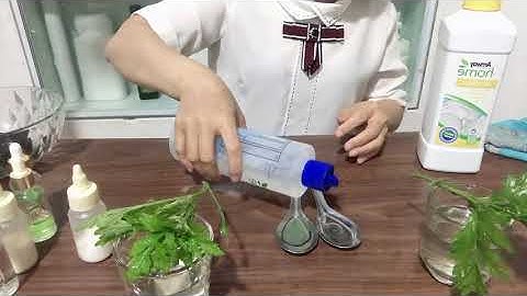 Nước ngâm rửa rau củ quả; thịt cá; rửa bát Dish Drops Amway