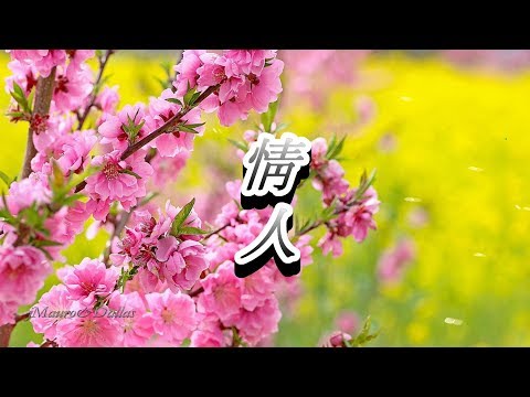 정인(情人)-이안 (Lee An) Korean Pop Song韓國歌謠♡♬