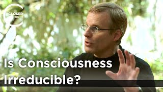 Giulio Tononi  Is Consciousness Irreducible?