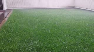 スプリンクラー　ポップアップ　スプレーヘッド