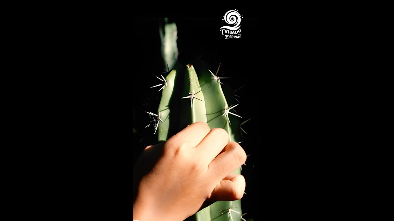 Learning the Asho’ojushi: Recap of the Wayuu Ancestral Tattoo Workshop