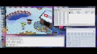 Animal Crossing: Gamecube MHS Tutorial