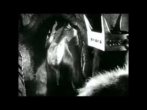 Trailer di Macbeth