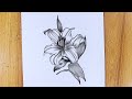 How to draw Lily flower step by step | Lily flower charcoal pencil sketch drawing | Art video