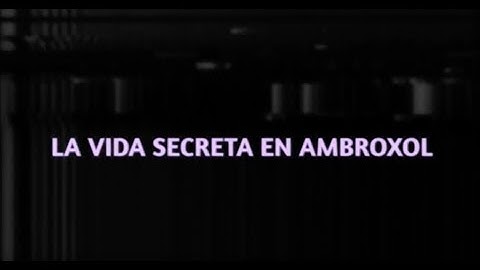 Heggel - La Vida Secreta En Ambroxol