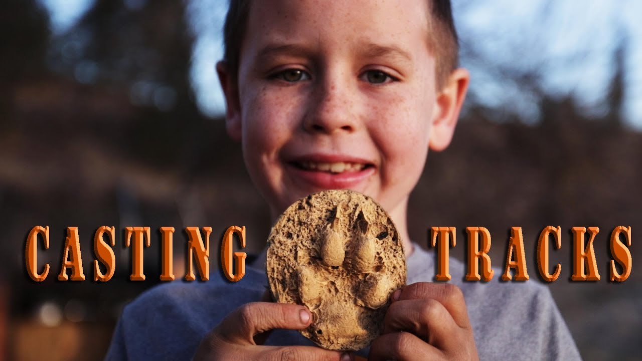 Casting Animal Tracks with Kids - family outdoor activities