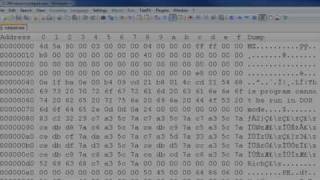 Programming Languages - 1 of 12