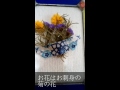 お刺身の菊の花でインテリア