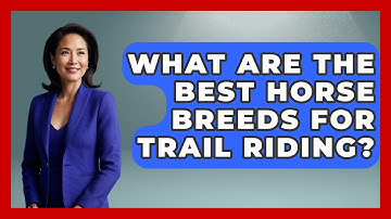 What Are The Best Horse Breeds For Trail Riding? - The Horses Stable