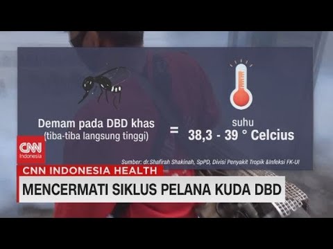 Video: Apa itu kuda berdarah panas?