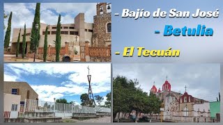 Bajío de San José // Betulia // El Tecuán // Jalisco // Centro y Templos