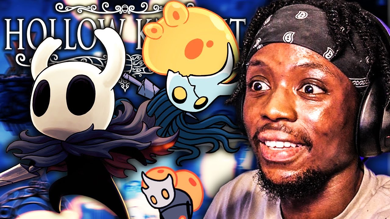 THE HOLLOW KNIGHT INFECTION IS DANGEROUS BRO YouTube