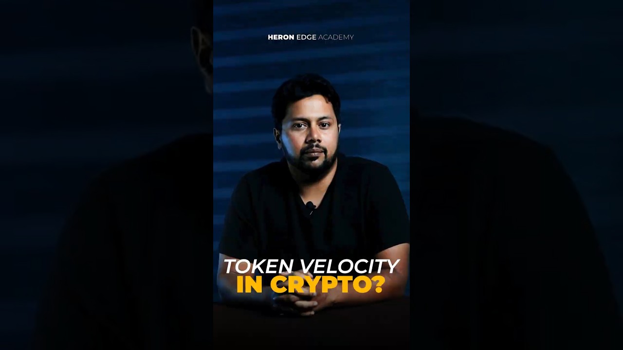 What is token velocity in crypto projects?
