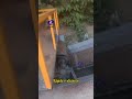 Do rotor do motor ao metal valioso | Processo completo de reciclagem