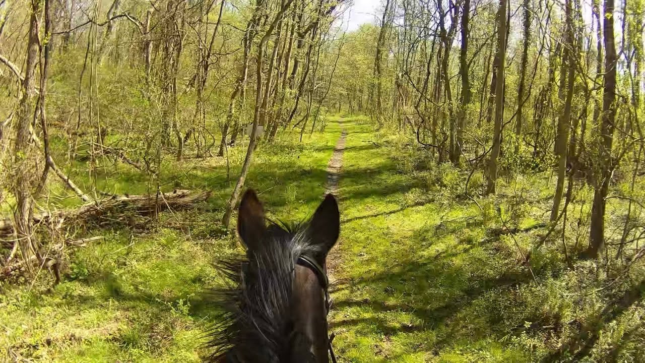 4.14.2024 CAMBOX Trail Riding Compilation Jenna&Mocha Lena&Dreamer