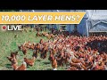 Live tour seven sons farms regenerative agriculture