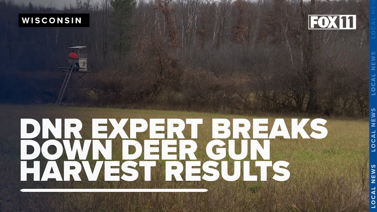 Wisconsin DNR reports increase in deer hunters and harvests for 2024 gun season