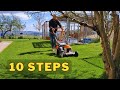 All 10 spring lawn care steps  in order