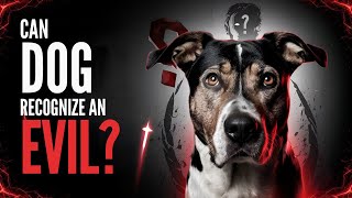 5 Ways Dogs Can Recognize a BAD PERSON | Can Dogs Sense Evil Eye?