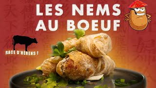 LES NEMS AU BOEUF !