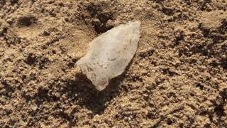 IMAGINE This! ~ 489 Artifact Find! Nov 2016