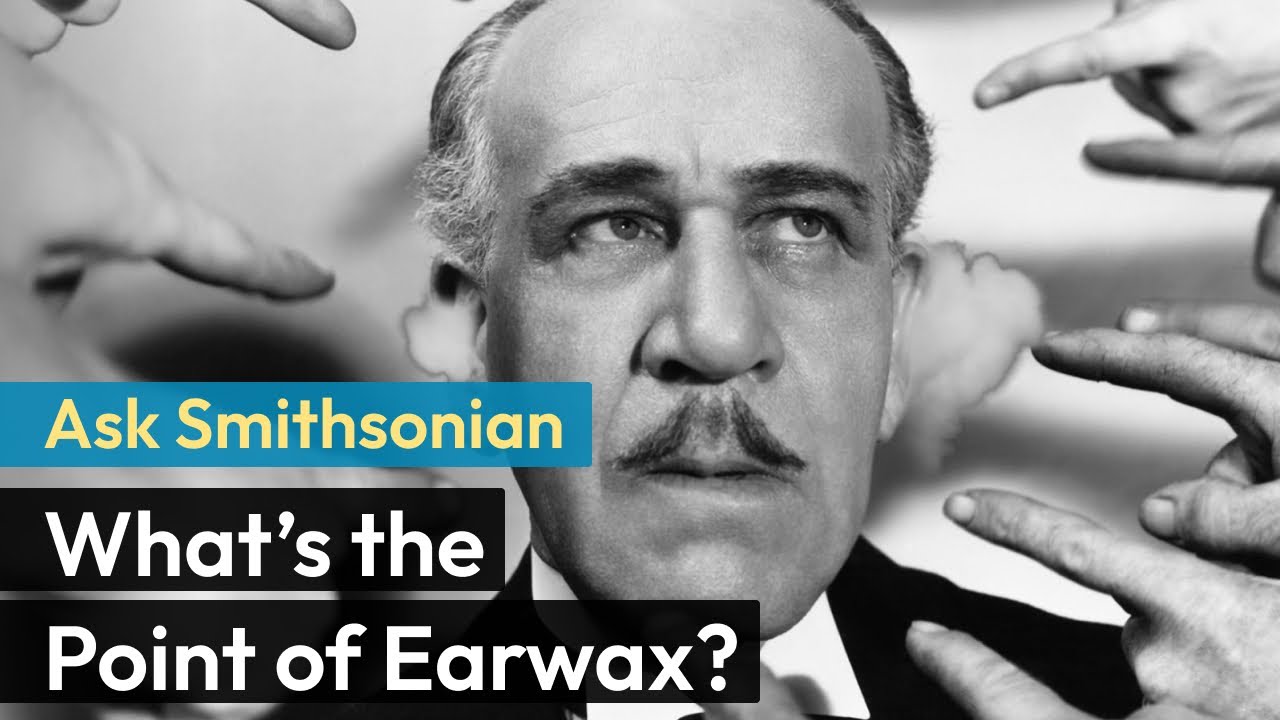 Ask Smithsonian: What's the Point of Earwax?