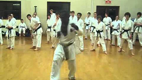 Shotokan Karate Online Sensei Randolph Williams