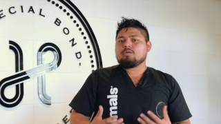 ¿Cuál es la diferencia entre un groomer y un peluquero canino?