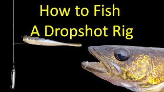 How to Fish a Dropshot Rig for Bass and Bluegills (underwater footage)