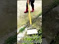 This cleaning scraper destroys weeds &amp; moss! 🧹✨