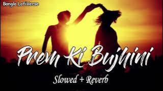 Prem Ki Bujhini (Slowed Reverb) | Zubin Garg | Akriti Kakkar | Paglu | Bangla LofiVerse |