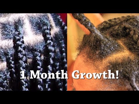 How much does your hair grow in a month?