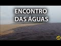 BR 319 MANAUS À IGAPÓ AÇU BRASIL EXTREMO EP36 T07EP111