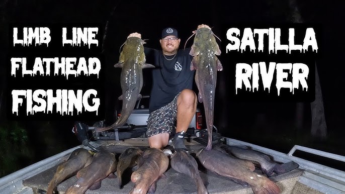 How To SLAY Catfish with LIMB-LINES!!!! 