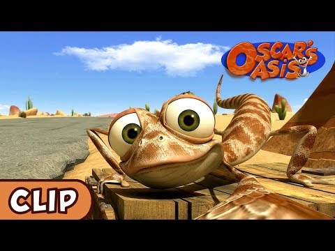 Oscar's Oasis - Dumpster Diving, HQ