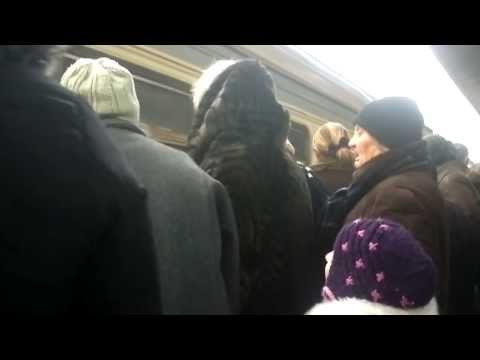 ბრძოლა სკამისთვის