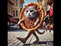 lahmacun kedi