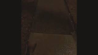 Kric- Westover/Orapax