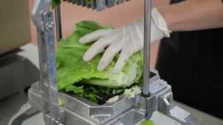 Exclusive Cloud Mountain processes Vegetables for Local Schools Information