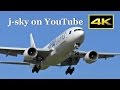 [4K] Beautiful Autumn Plane Spotting at Sapporo New Chitose Airport - runway end, fine day!