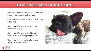 The F  WORDS…Facing Brain Fog and Fatigue