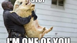 Sanford PD: A waste of bull****