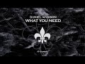 Daniel Madison - What you need ( Original Mix )